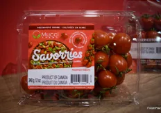 Savorries tomatoes grown by Mucci Farms in Canada.