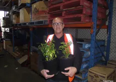 Anthony Spartalis from Country Crisp showing the purple chilli plant