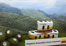 GreenFruit Avocados - https://www.greenfruitavocados.com/