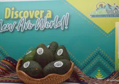 Colombia Avocados - https://avocadoscolombia.com/