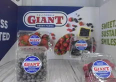 Giant - https://www.calgiant.com/